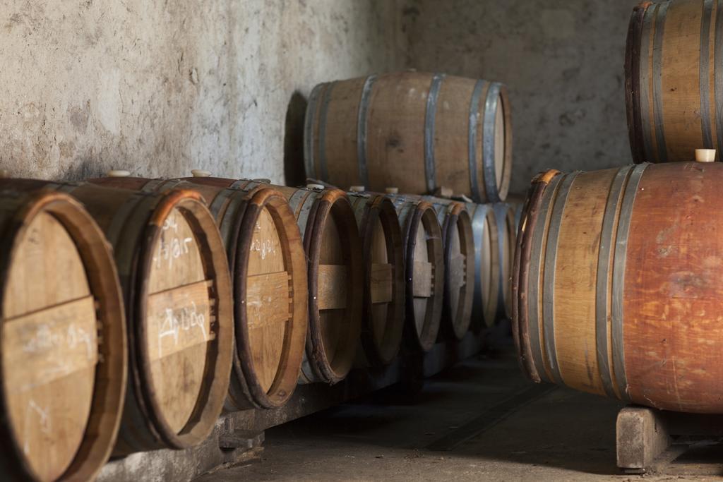 Clos Vieux Rochers Vineyard Puisseguin Buitenkant foto