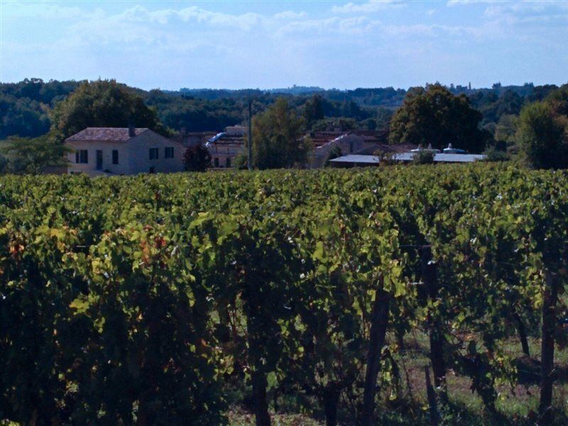 Clos Vieux Rochers Vineyard Puisseguin Buitenkant foto